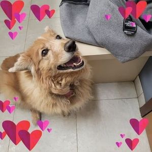 Meet your Posher, Tracey